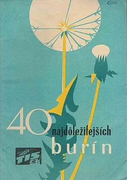 40 najdôležitejších burín