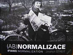 (Ab)normalizace - (Fake) normalization