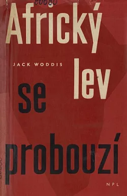 Africký lev se probouzí