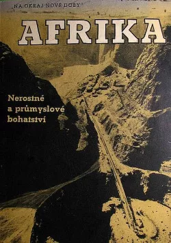 Afrika: Nerostné a průmyslové bohatství