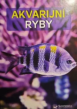 Akvarijní ryby