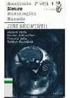 Anatomia Neuro Radiologica Basalis