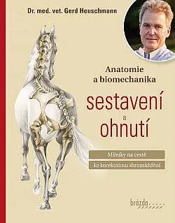 Anatomie a biomechanika sestavení a ohnutí