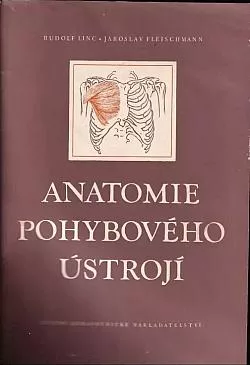 Anatomie pohybového ústrojí