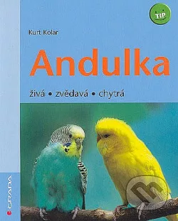Andulka - živá zvědavá chytrá