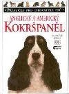 Anglický a americký kokršpaněl