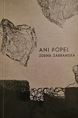 Ani popel