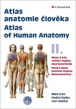 Atlas anatomie člověka II. - Hlava a krk, vnitřní orgány, neuroanatomie