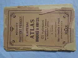 Atlas brouků a hmyzu (Mückovy praktické přírůčky)
