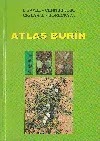 Atlas burín