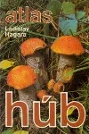 Atlas húb