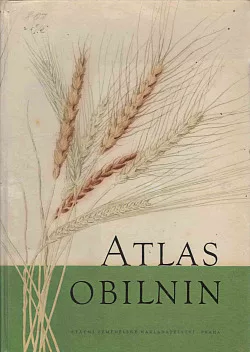 Atlas obilnin