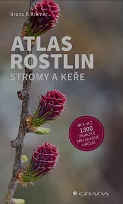 Atlas rostlin - Stromy a keře