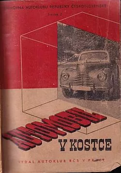 Automobil v kostce