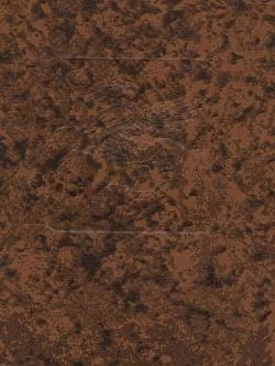 Básně