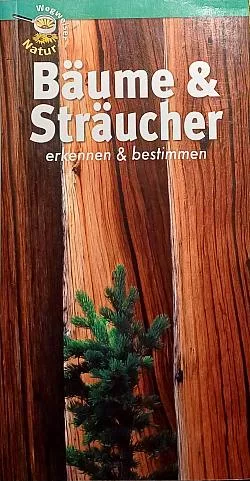 Bäume & Sträucher