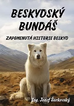 Beskydský Bundáš - Zapomenutá historie Beskyd