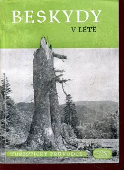 Beskydy v létě