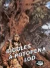 Biggles a potopená loď