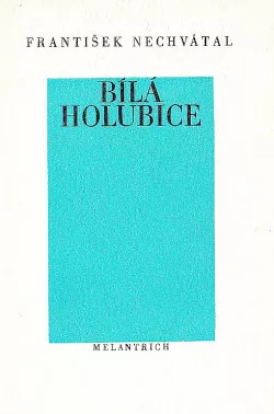 Bílá holubice