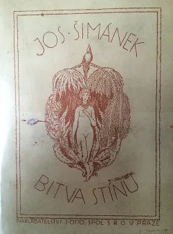 Bitva stínů