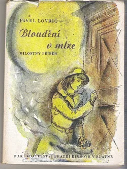 Bloudění v mlze
