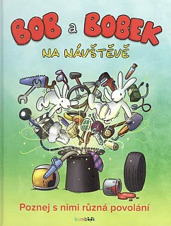Bob a Bobek: Na návštěvě