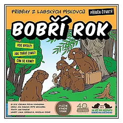 Bobří rok
