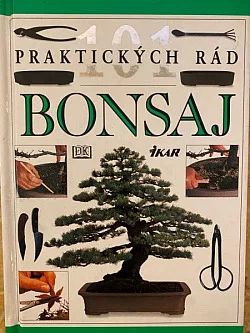 Bonsaj