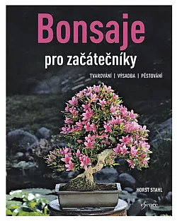 Bonsaje pro začátečníky