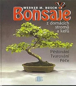 Bonsaje z domácích stromů a keřů