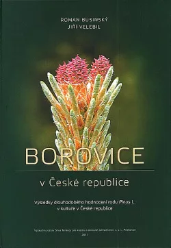 Borovice v České republice