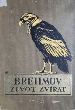 Brehmův život zvířat 5. díl – Ptáci