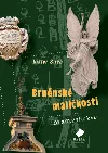 Brněnské maličkosti - Za okružní třídou