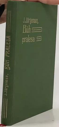 Bůh pralesa