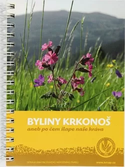 Byliny Krkonoš