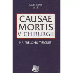 Causae mortis v chirurgii na přelomu tisíciletí