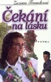 Čekání na lásku