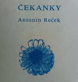 Čekanky