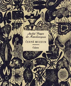 Černé muzeum