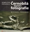 Černobílá digitální fotografie
