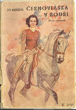 Černovláska v bouři