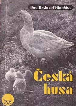 Česká husa