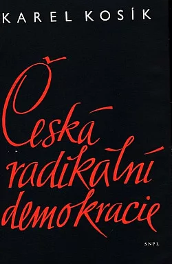 Česká radikální demokracie: Příspěvek k dějinám názorových sporů v české společnosti 19. století