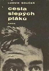 Cesta slepých ptáků
