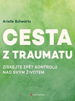 Cesta z traumatu