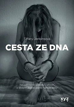 Cesta ze dna: Neuvěřitelně pravdivý příběh o dvojím životě jedné narkomanky