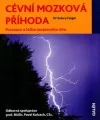Cévní mozková příhoda - Prevence a léčba mozkového iktu