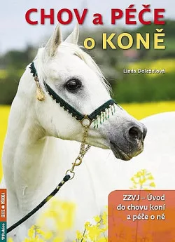 Chov a péče o koně