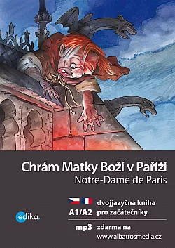 Chrám Matky Boží v Paříži / Notre-Dame de Paris (dvojjazyčná kniha)